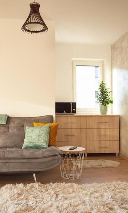 5 Dream Apartment 5 Cu Parcare Privata Oradea Extérieur photo